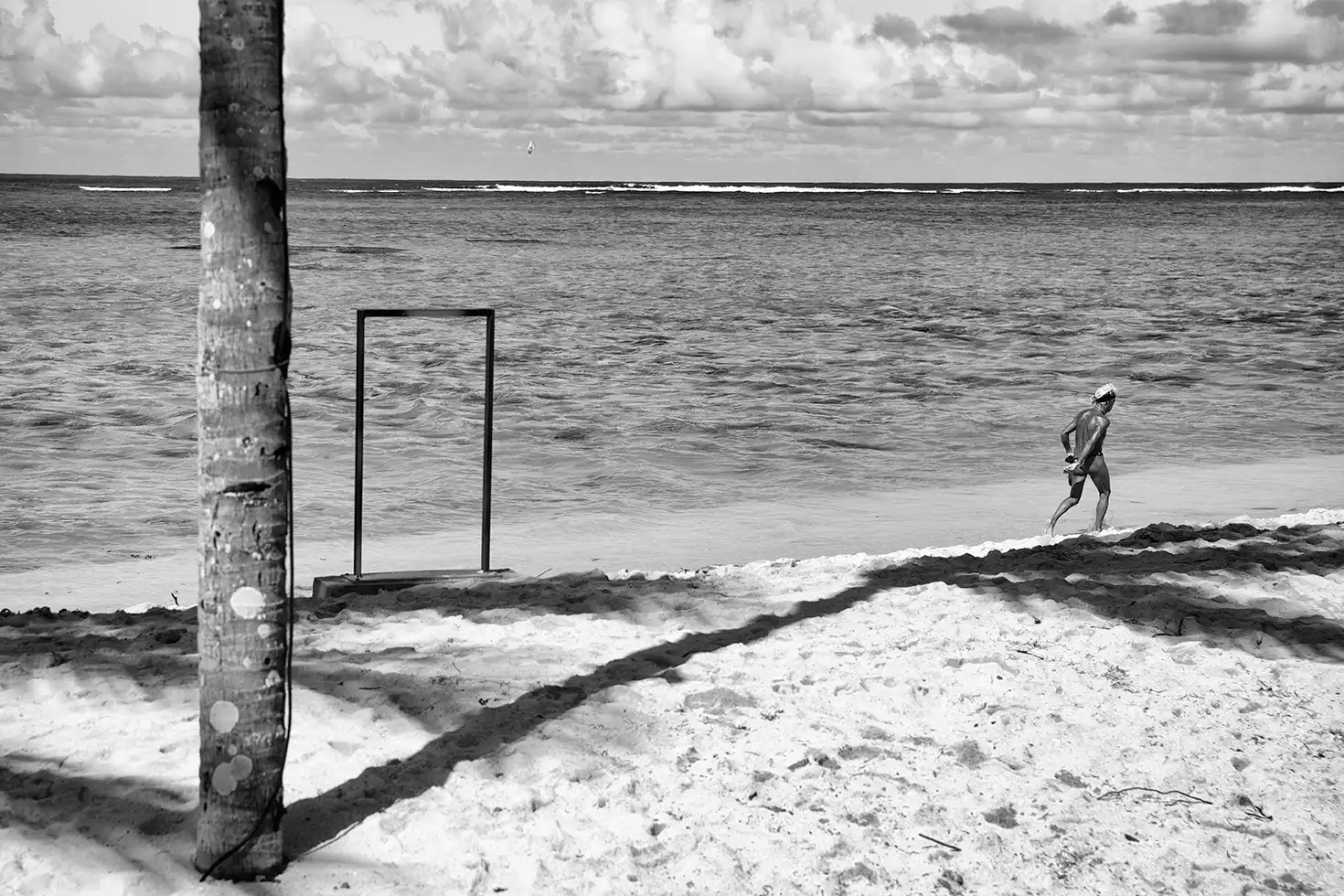 Gonçalo Cunha de Sá