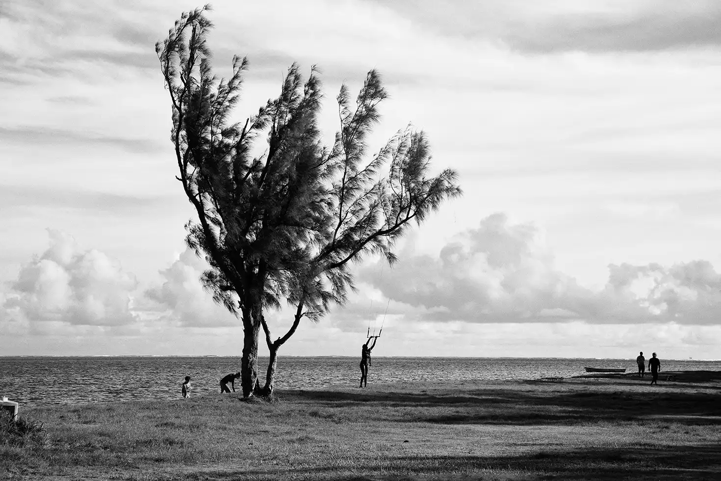 Gonçalo Cunha de Sá