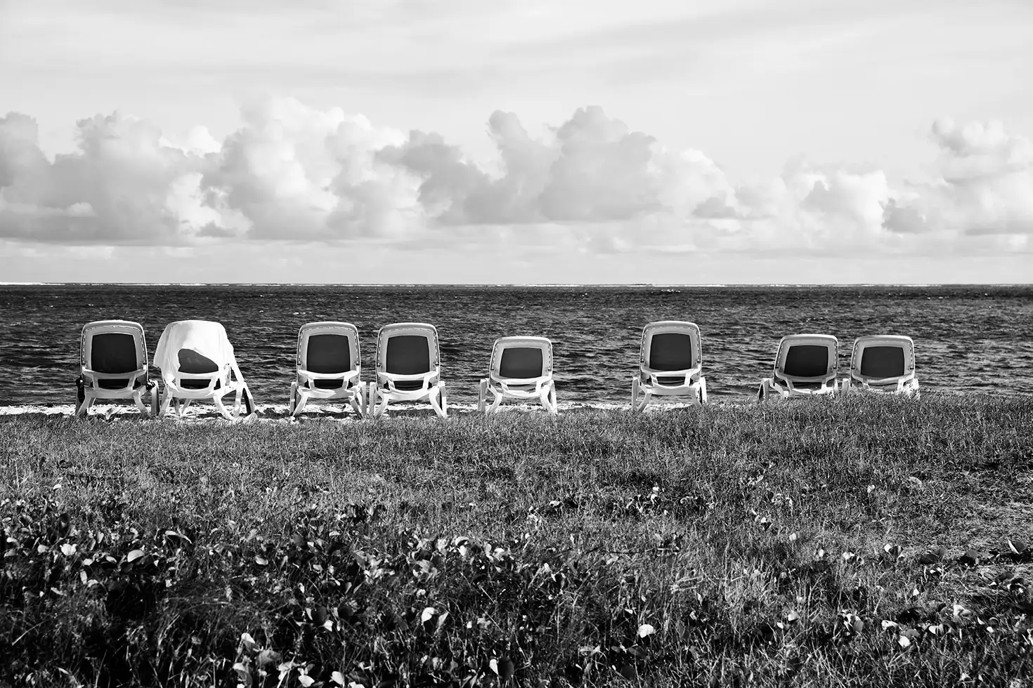 Gonçalo Cunha de Sá