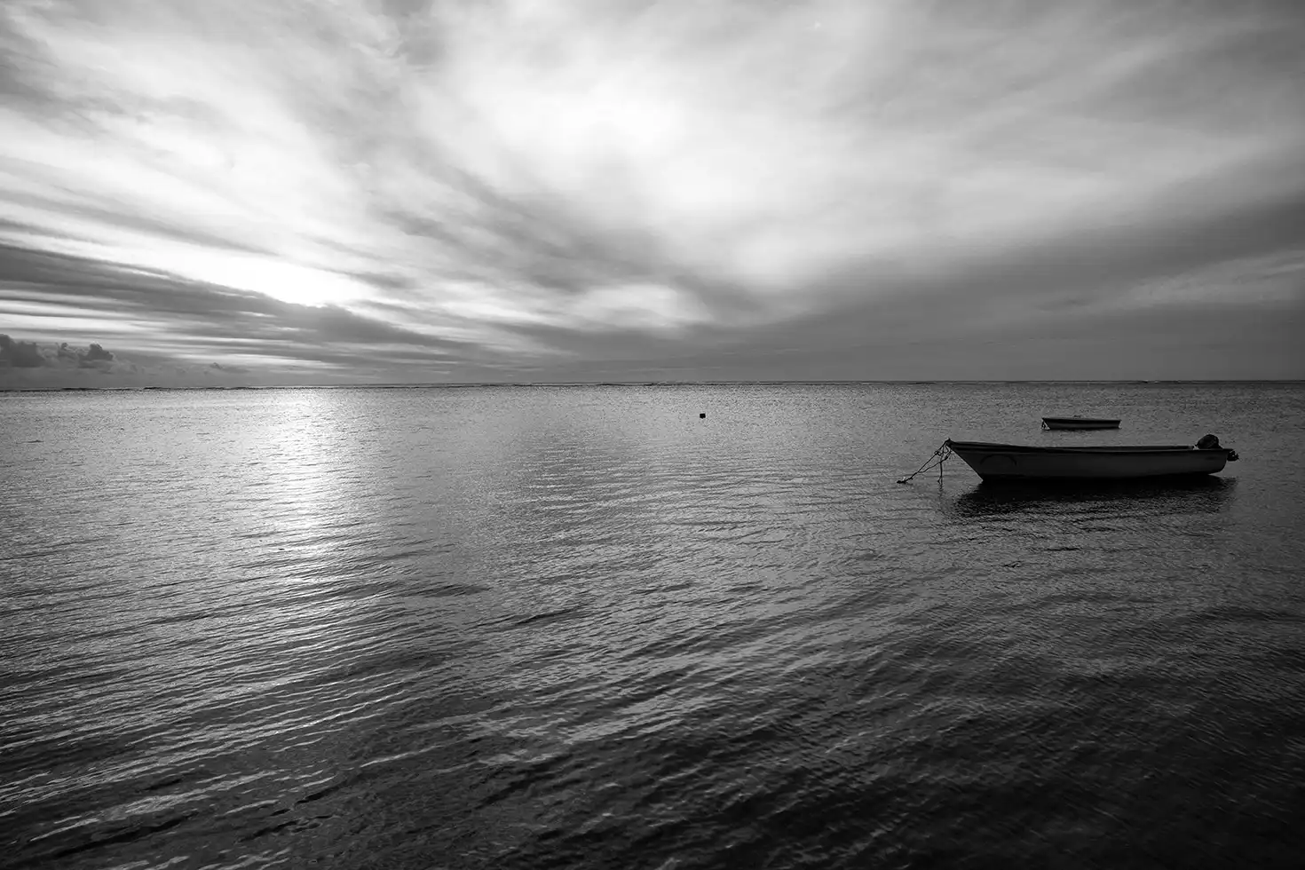 Gonçalo Cunha de Sá