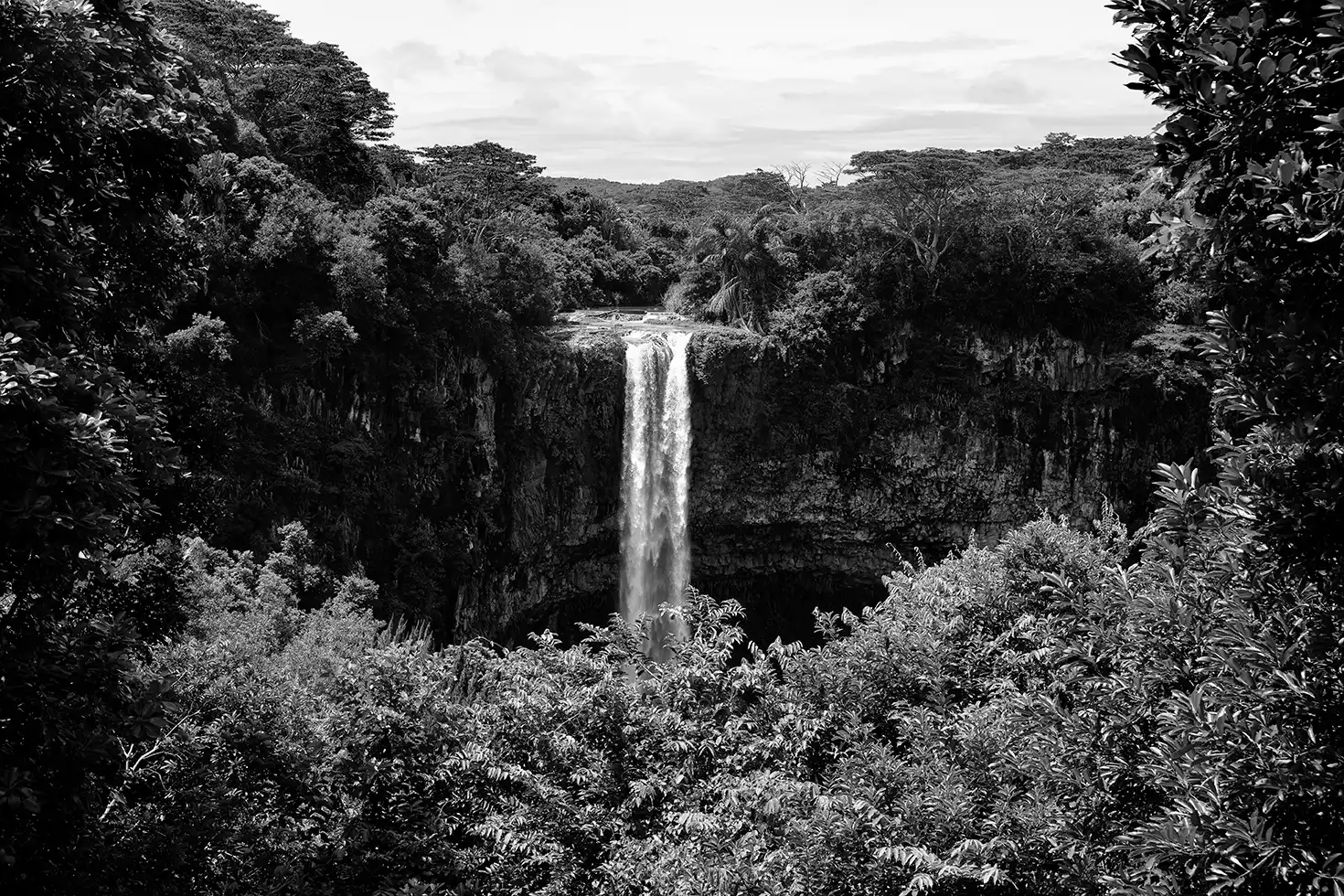 Gonçalo Cunha de Sá