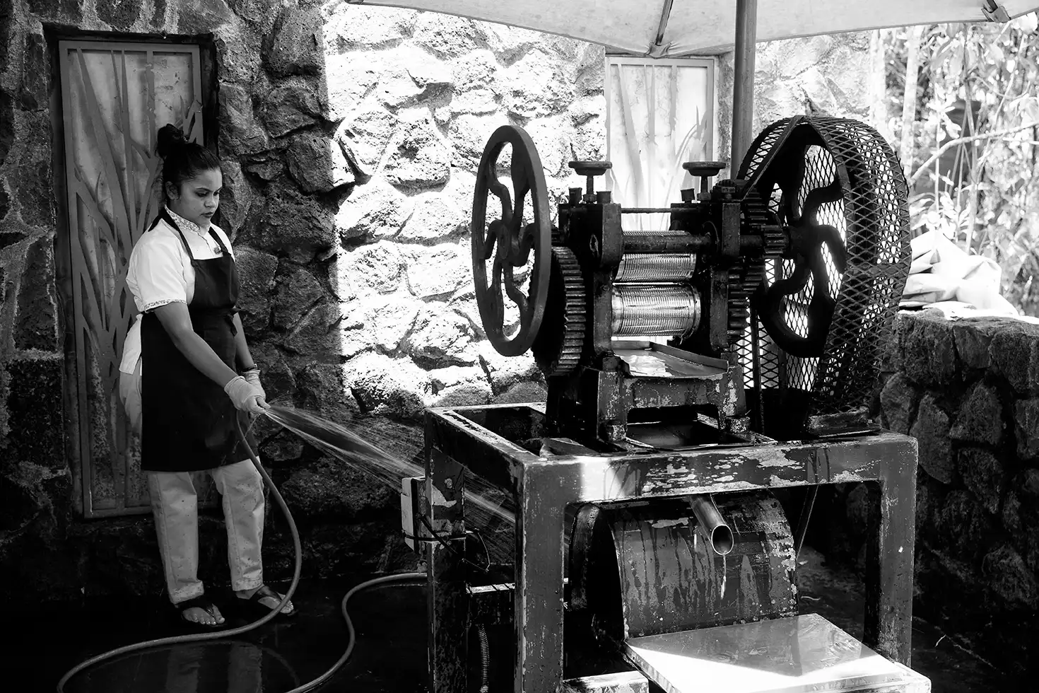 Gonçalo Cunha de Sá