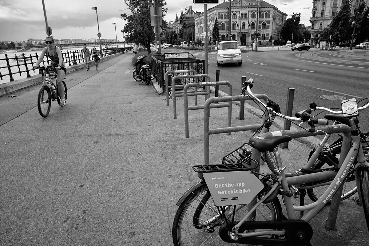 Gonçalo Cunha de Sá