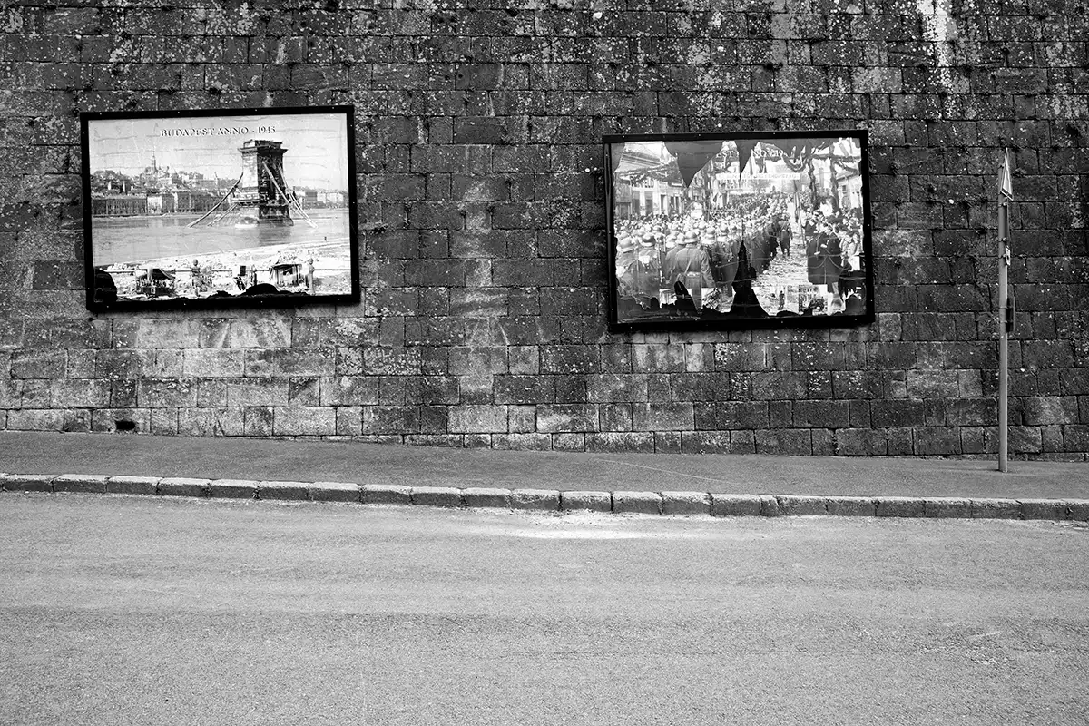 Gonçalo Cunha de Sá