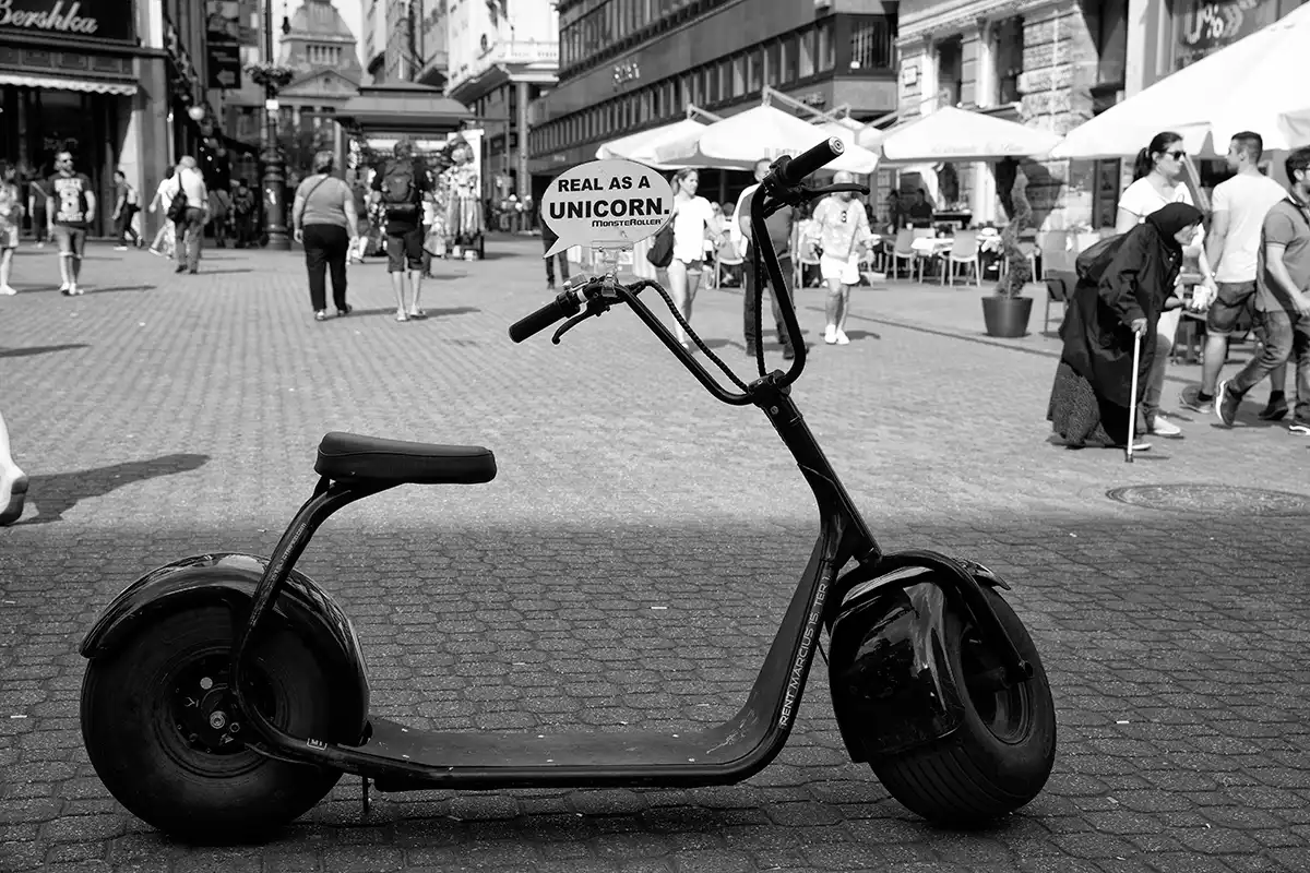 Gonçalo Cunha de Sá