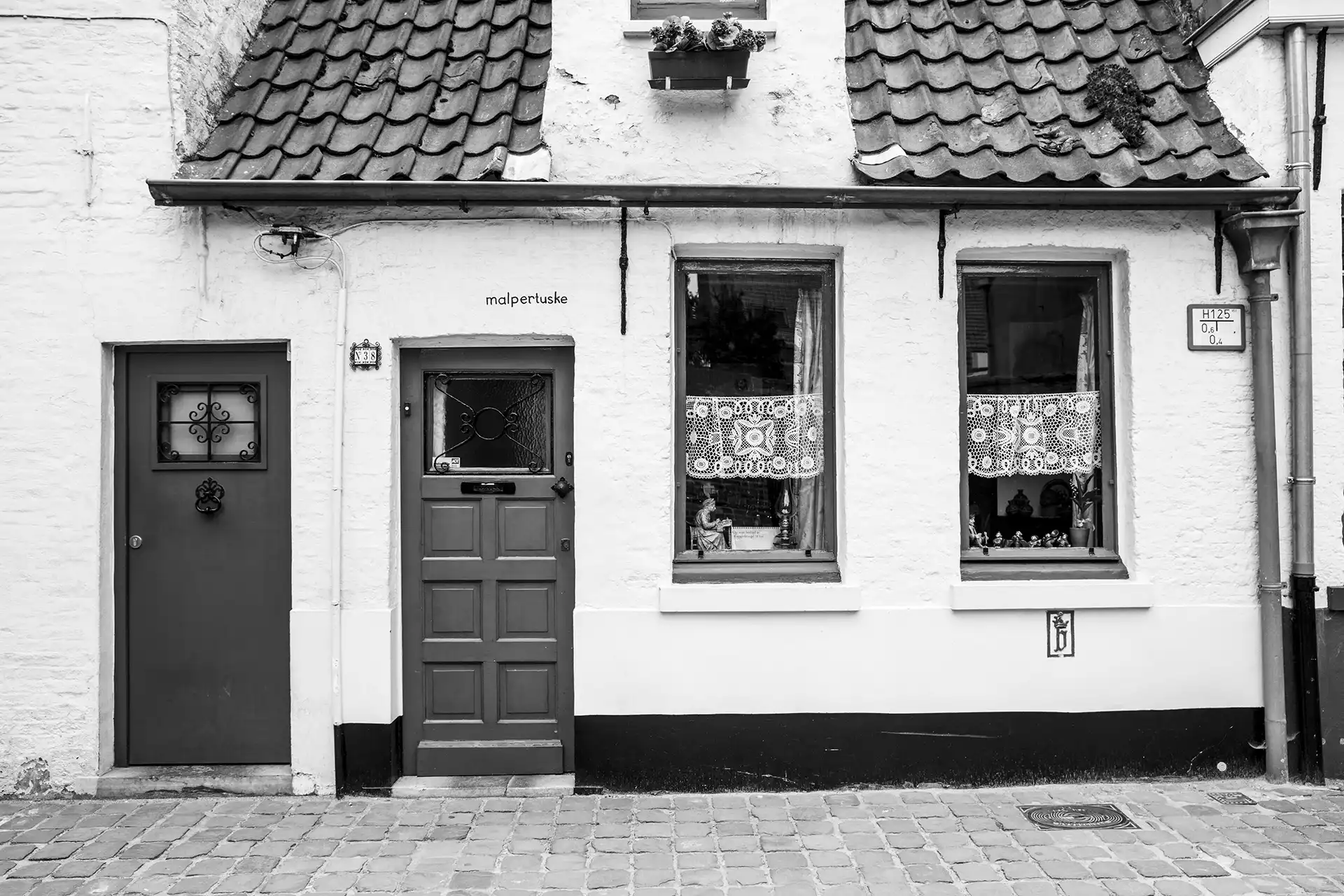 Gonçalo Cunha de Sá