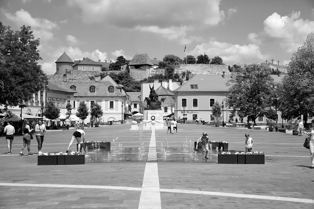 Gonçalo Cunha de Sá