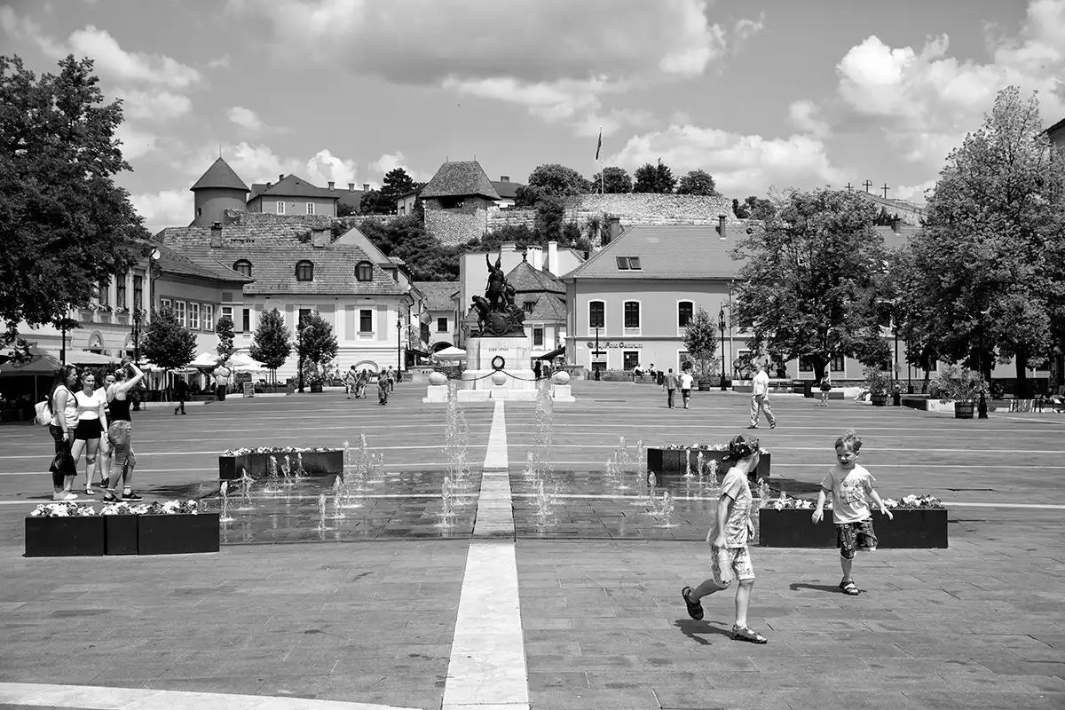 Gonçalo Cunha de Sá