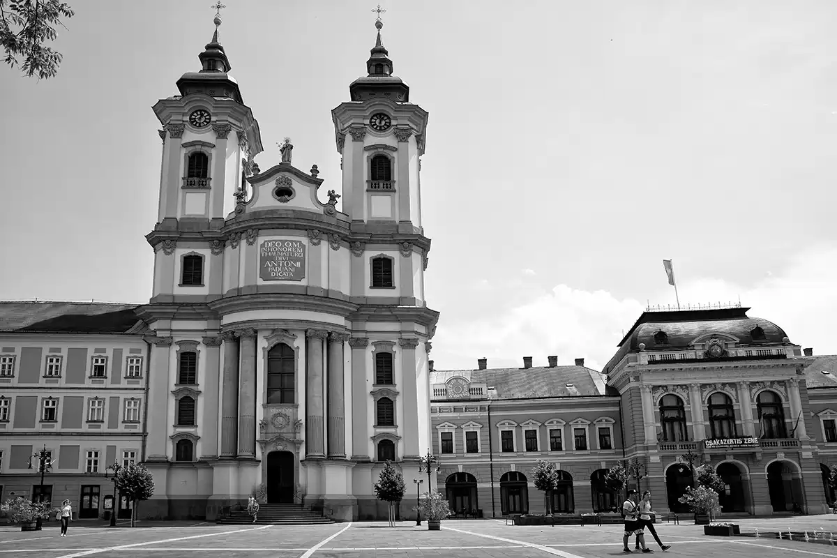 Gonçalo Cunha de Sá