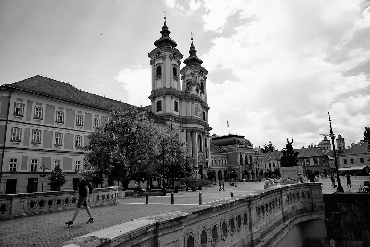 Gonçalo Cunha de Sá