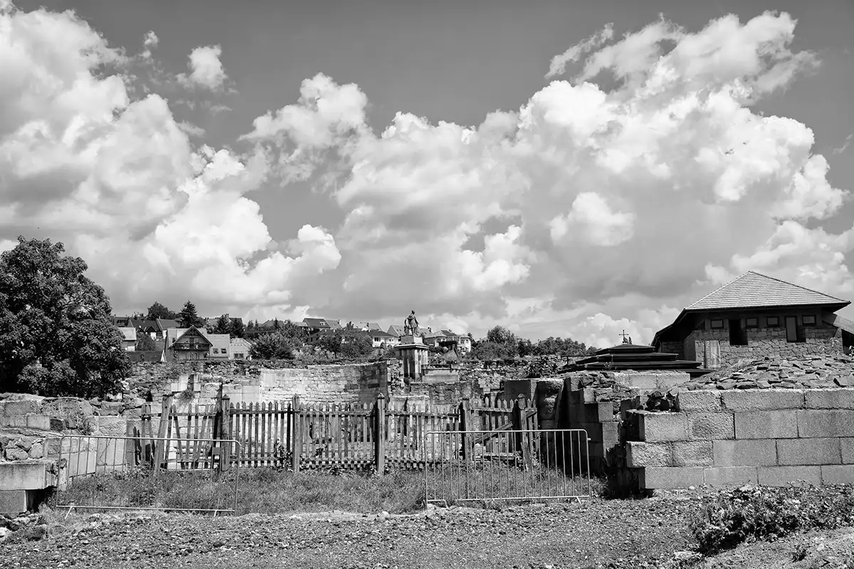 Gonçalo Cunha de Sá