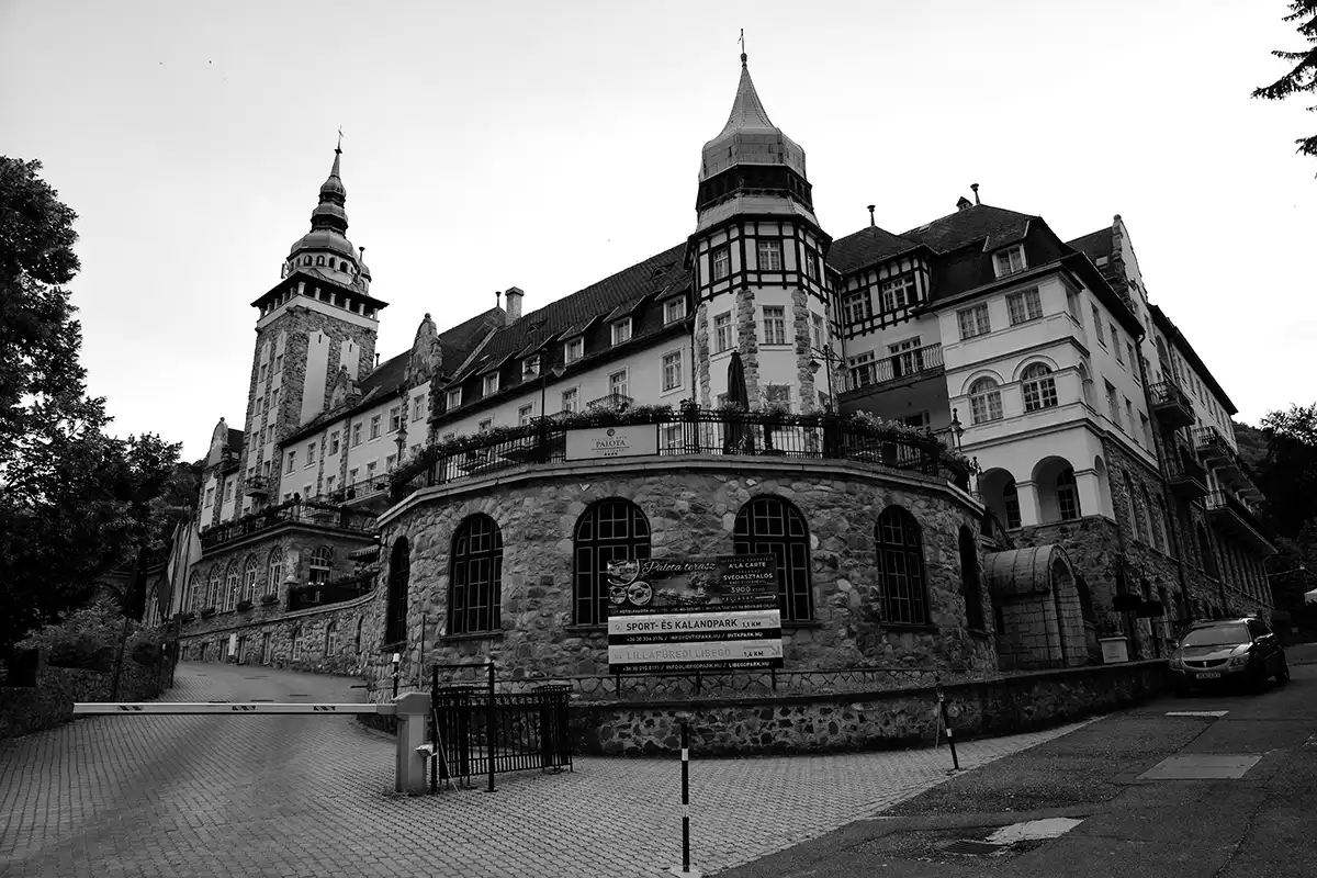 Gonçalo Cunha de Sá