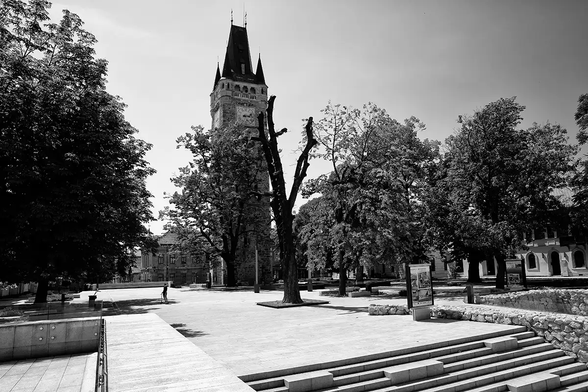 Gonçalo Cunha de Sá