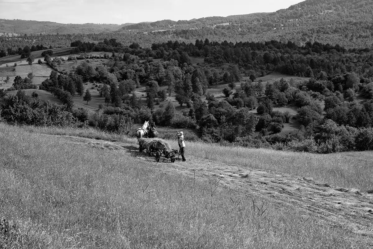 Gonçalo Cunha de Sá