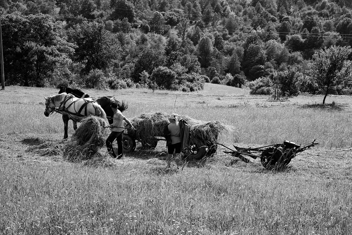 Gonçalo Cunha de Sá