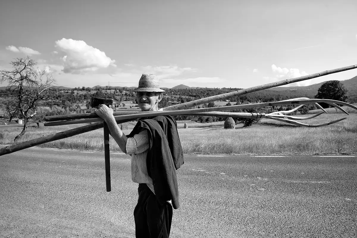 Gonçalo Cunha de Sá
