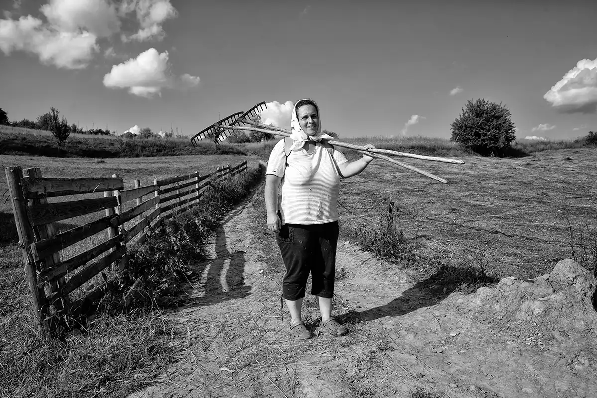 Gonçalo Cunha de Sá