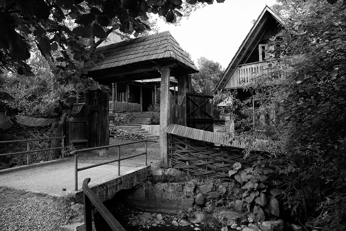 Gonçalo Cunha de Sá