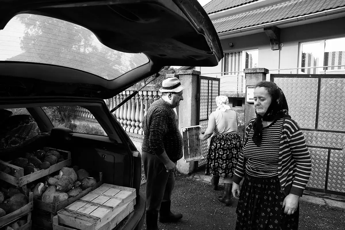 Gonçalo Cunha de Sá