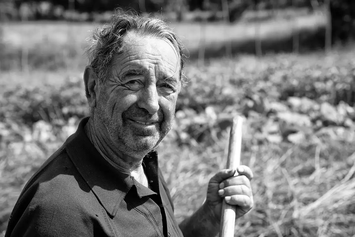 Gonçalo Cunha de Sá