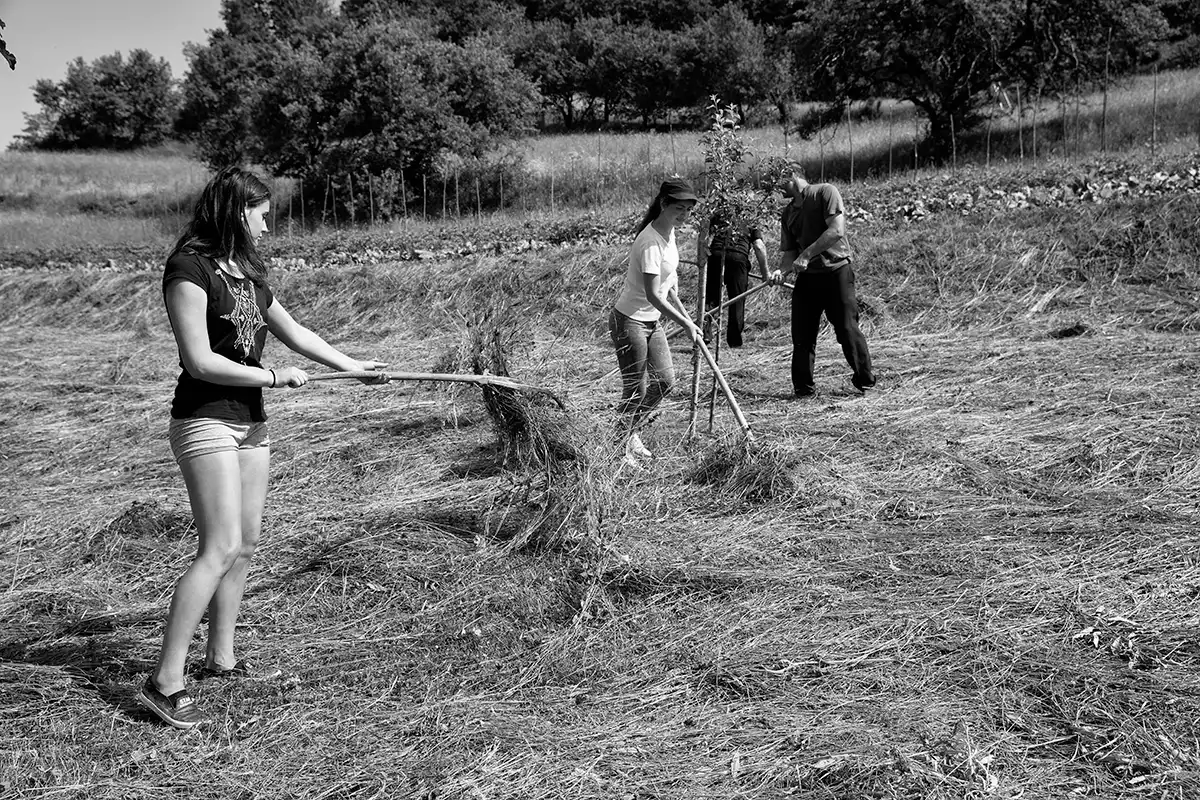 Gonçalo Cunha de Sá