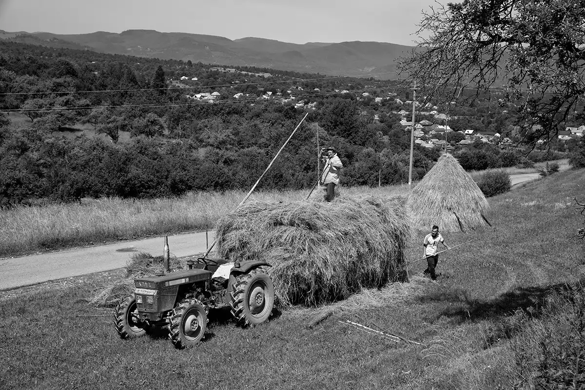 Gonçalo Cunha de Sá