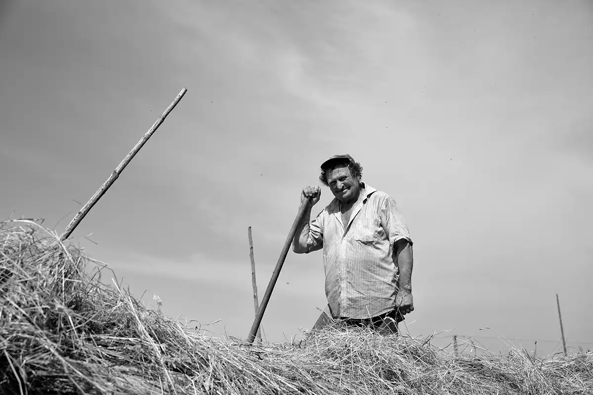 Gonçalo Cunha de Sá