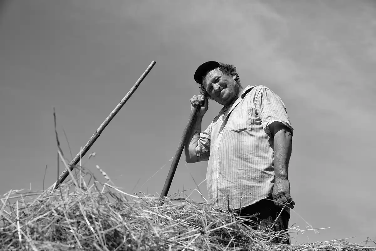 Gonçalo Cunha de Sá