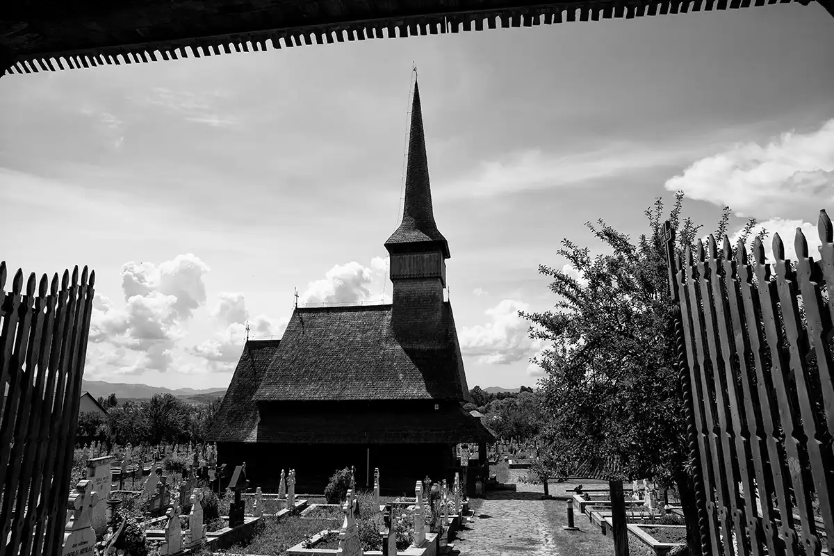 Gonçalo Cunha de Sá