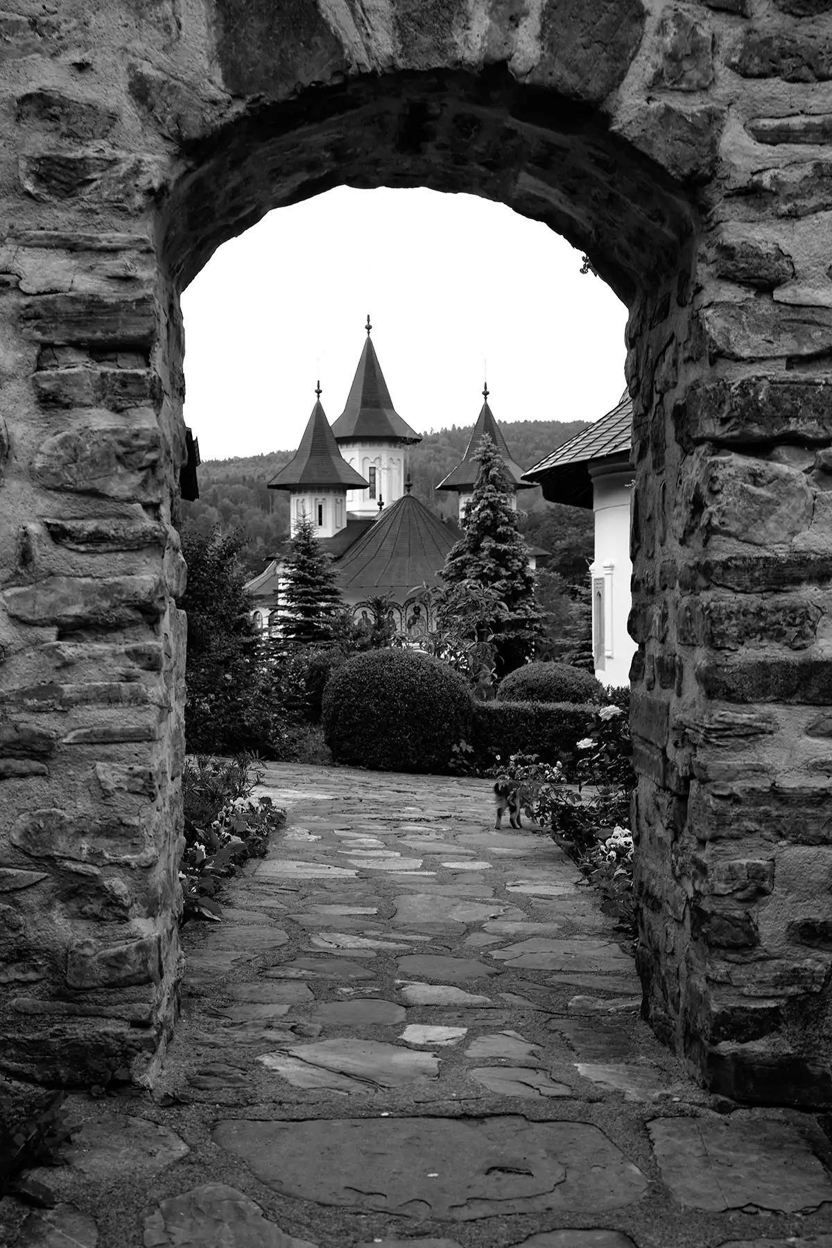 Gonçalo Cunha de Sá