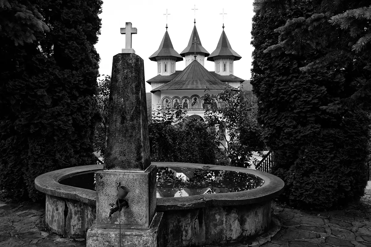 Gonçalo Cunha de Sá