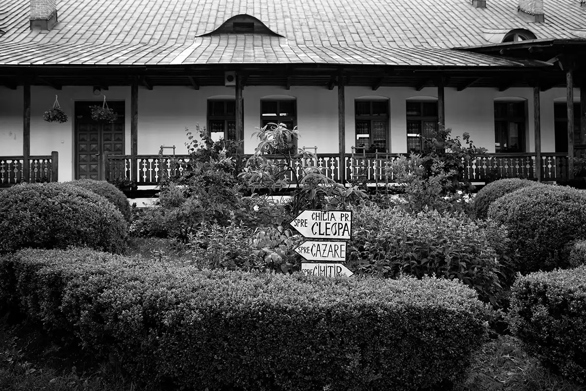 Gonçalo Cunha de Sá