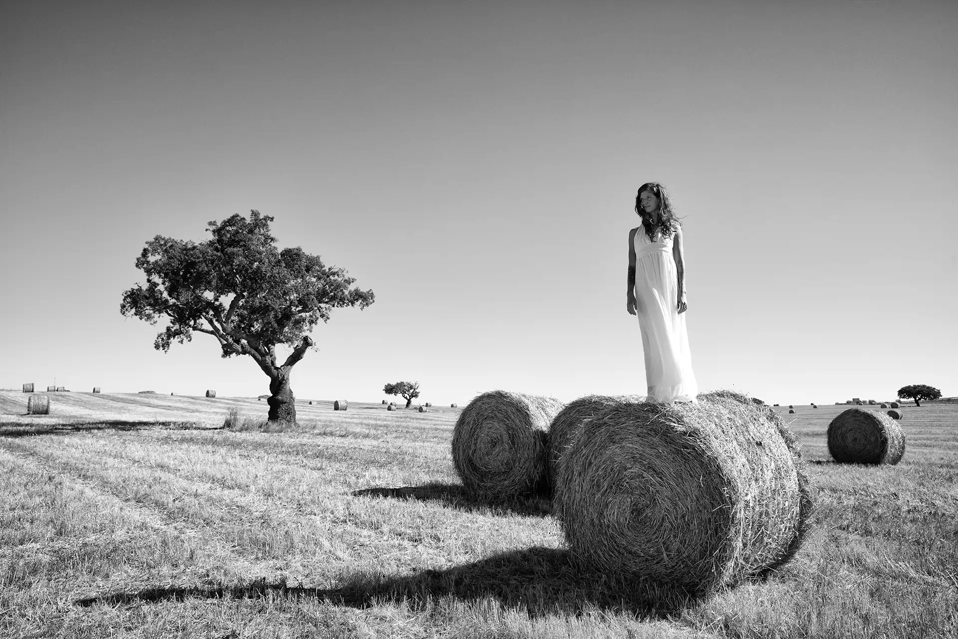 Gonçalo Cunha de Sá