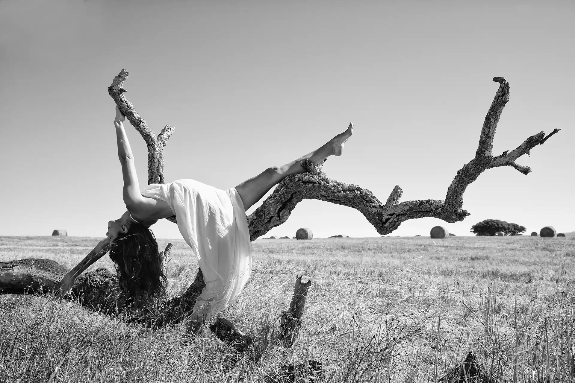 Gonçalo Cunha de Sá