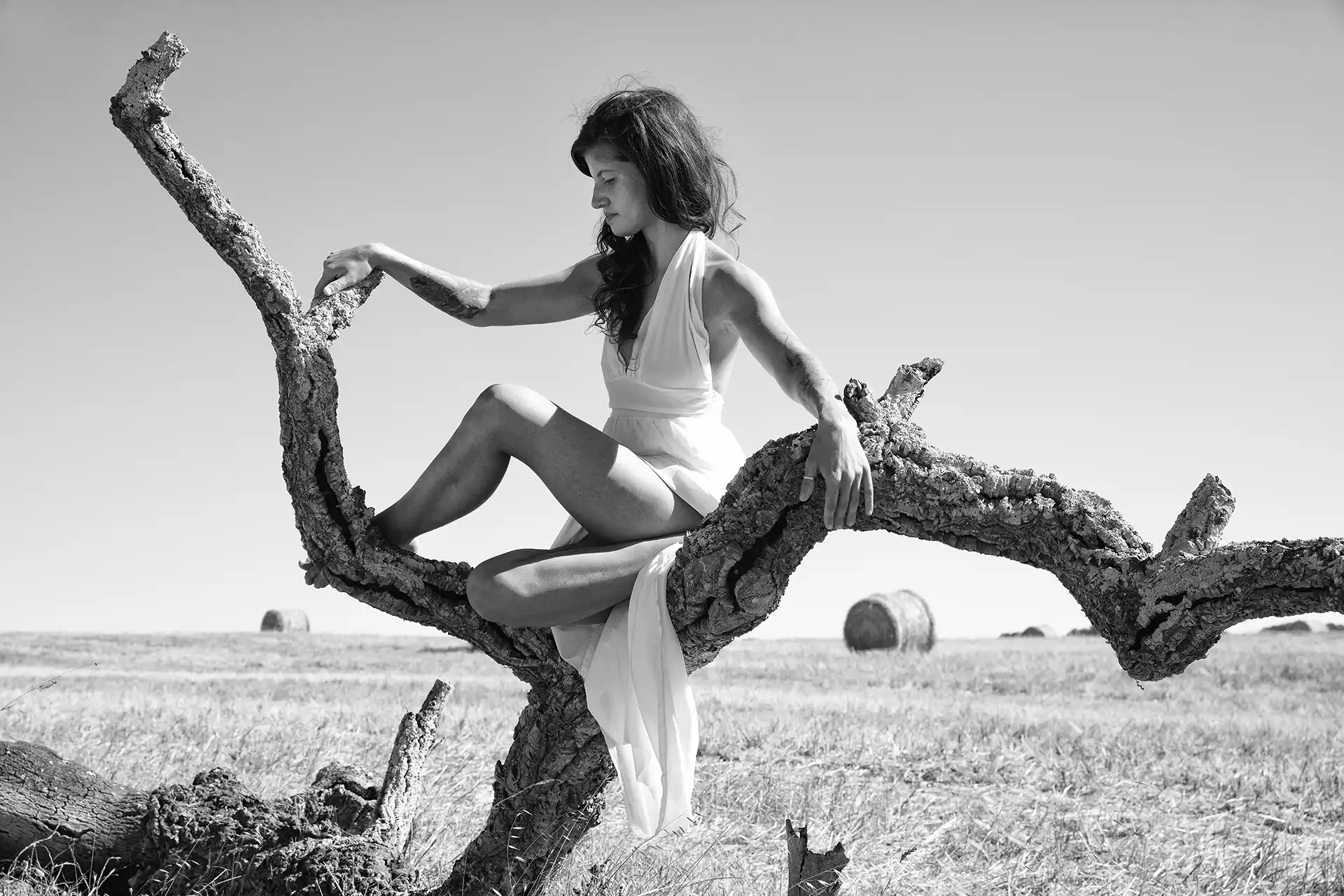 Gonçalo Cunha de Sá