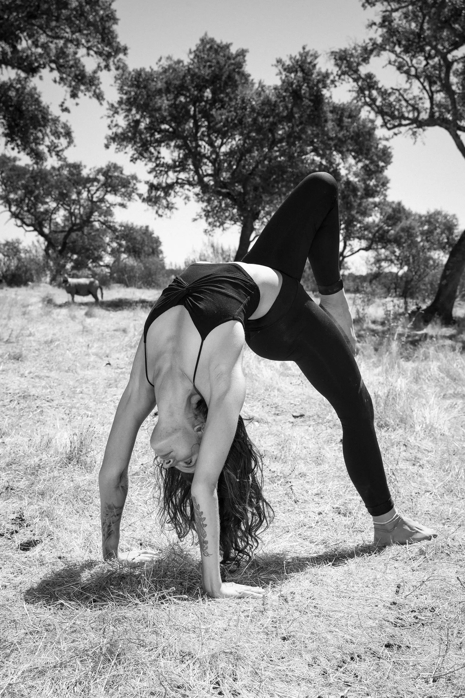 Gonçalo Cunha de Sá