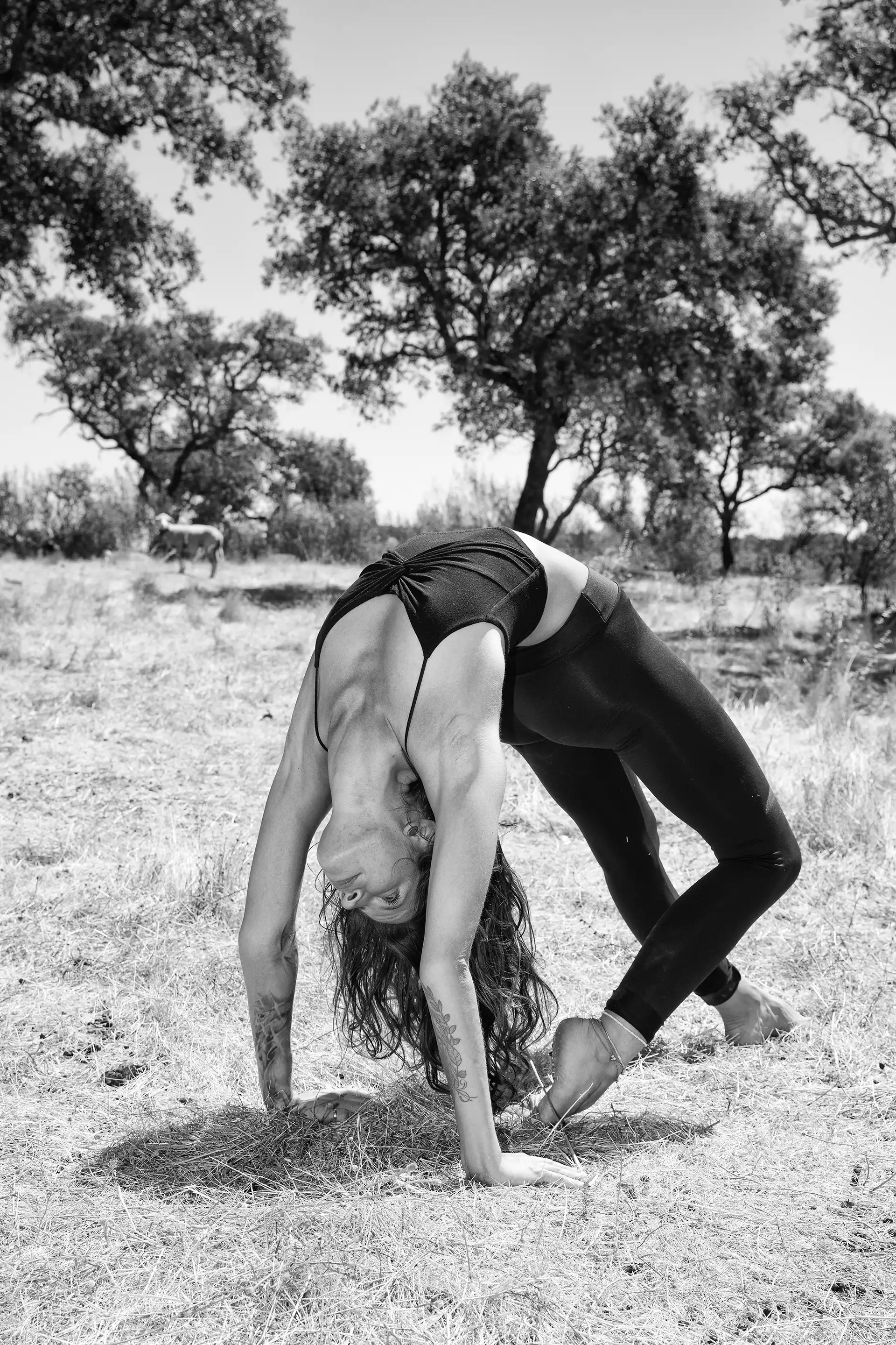 Gonçalo Cunha de Sá