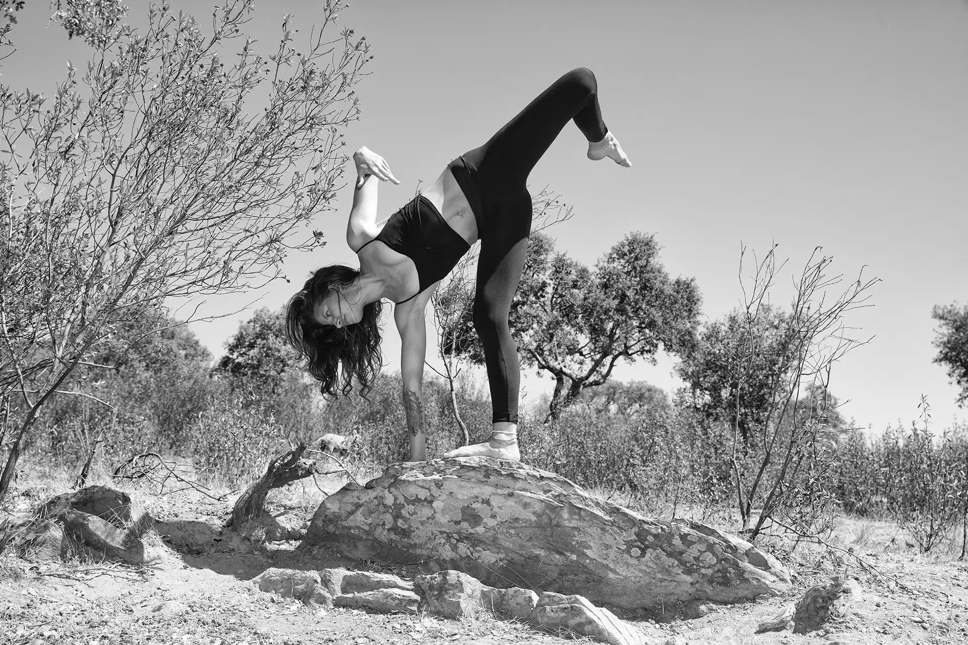 Gonçalo Cunha de Sá