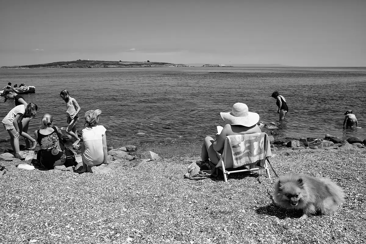 Gonçalo Cunha de Sá