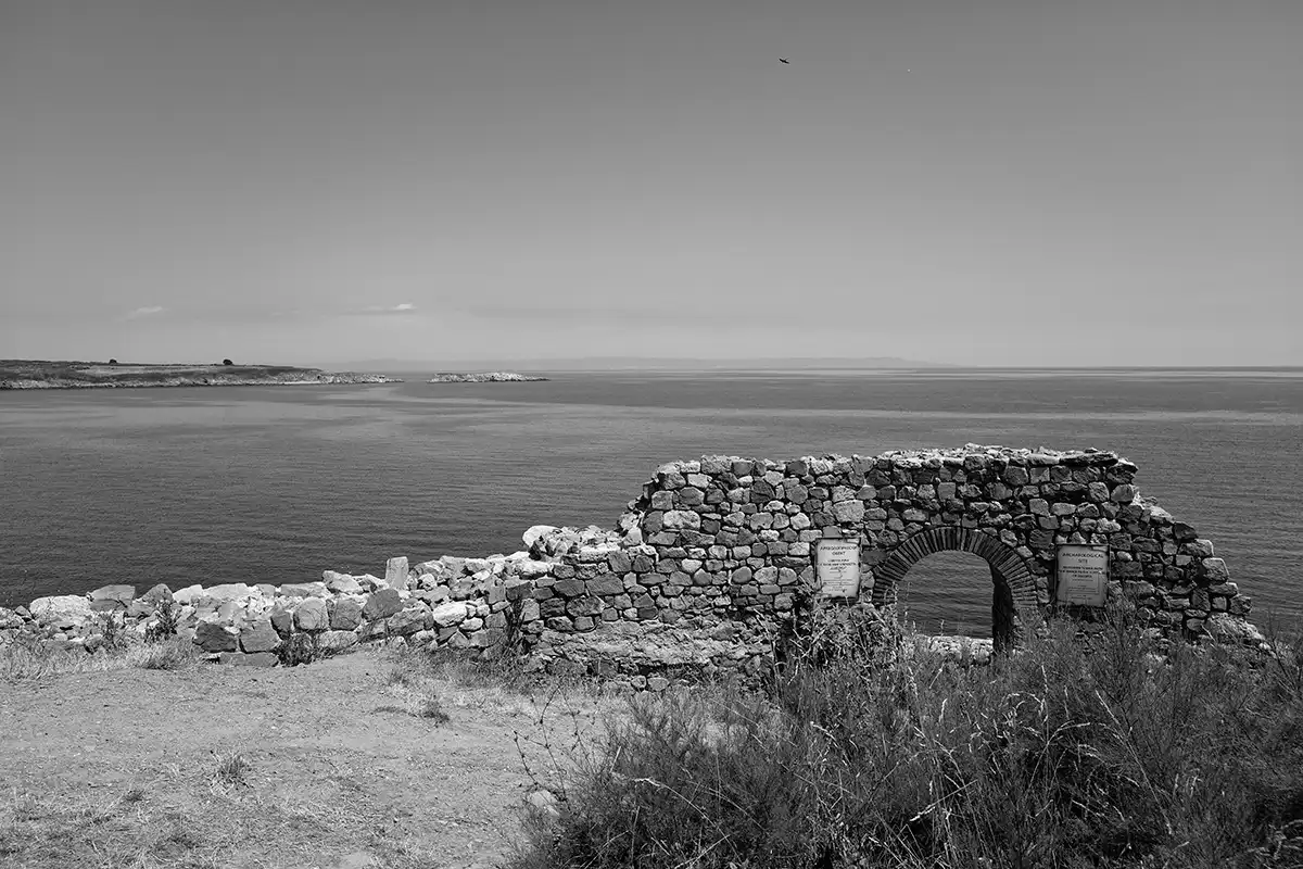 Gonçalo Cunha de Sá