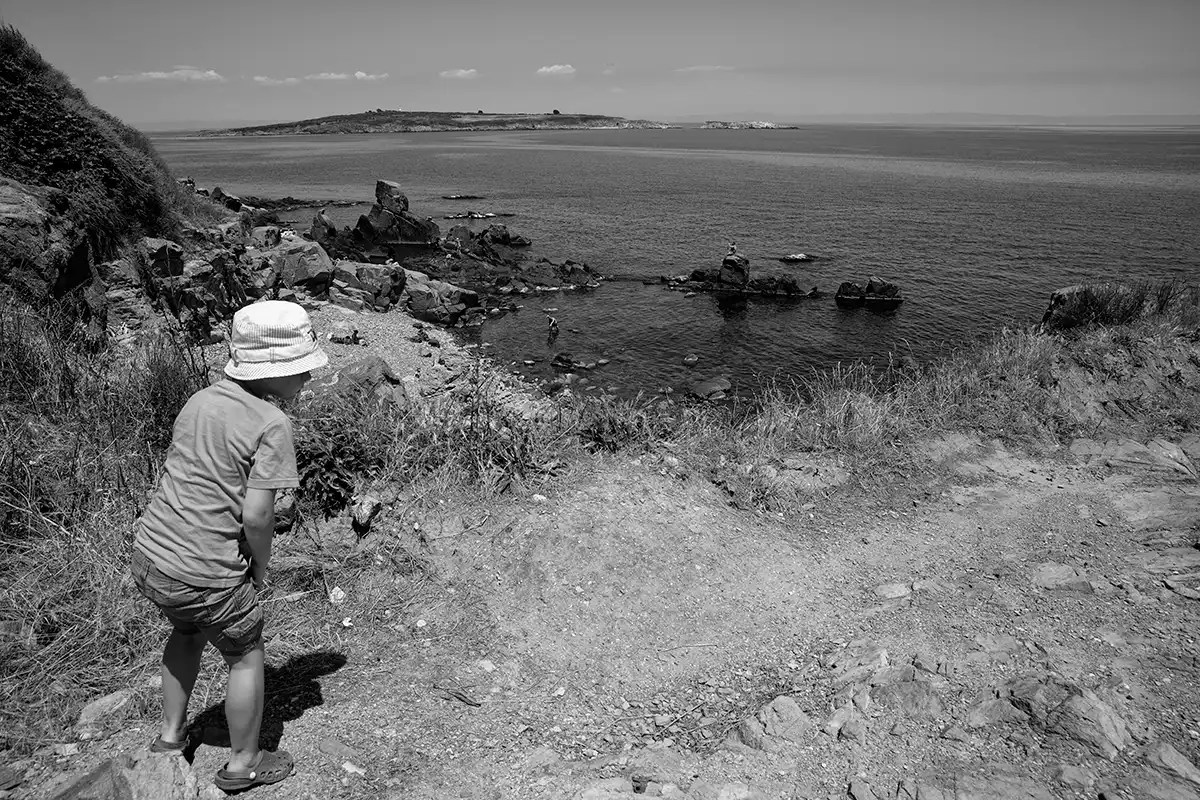 Gonçalo Cunha de Sá