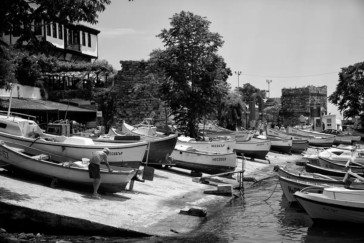 Gonçalo Cunha de Sá