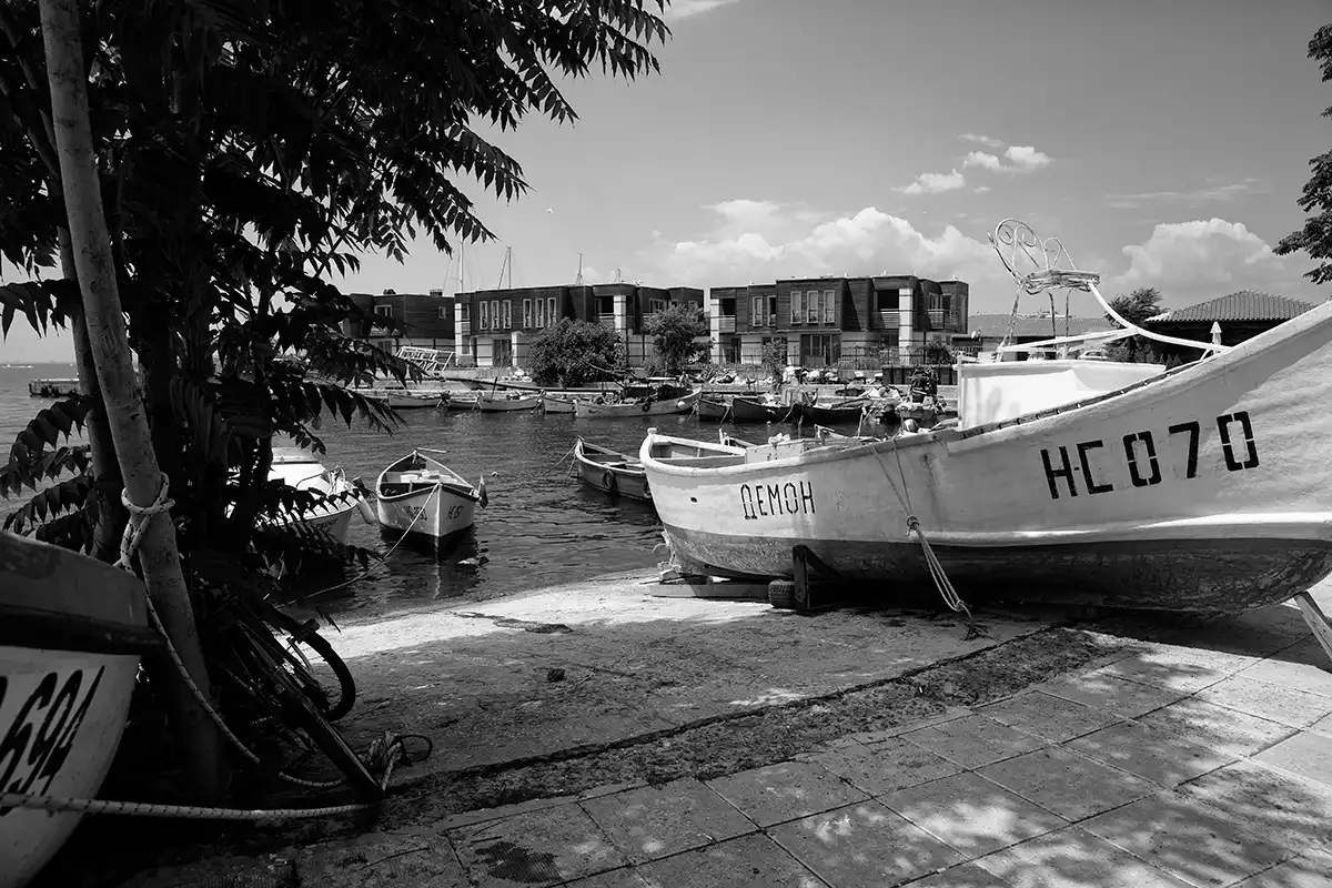 Gonçalo Cunha de Sá