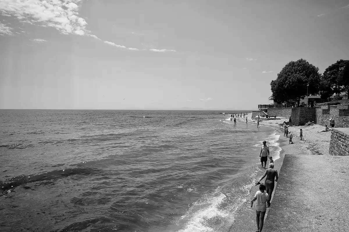 Gonçalo Cunha de Sá