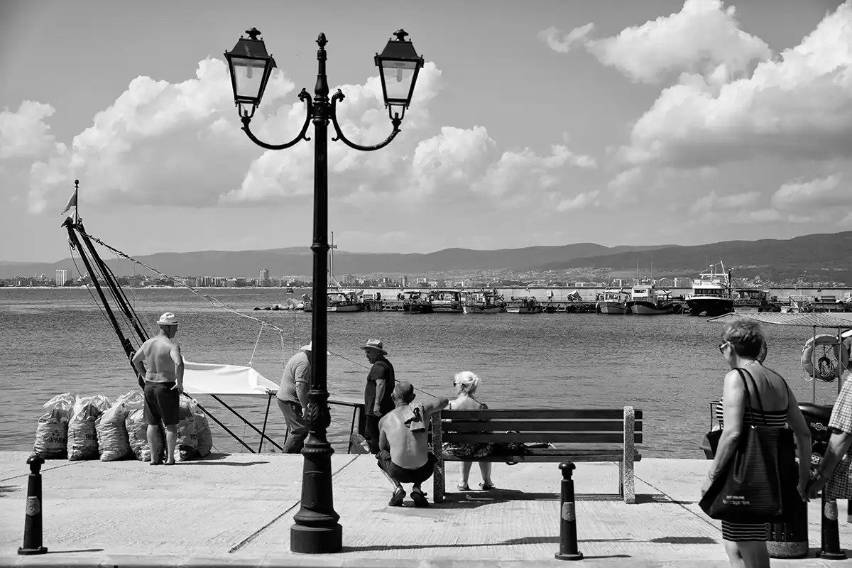 Gonçalo Cunha de Sá