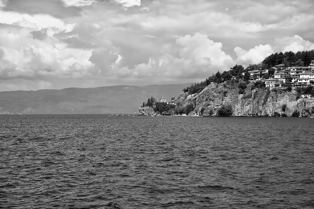 Gonçalo Cunha de Sá