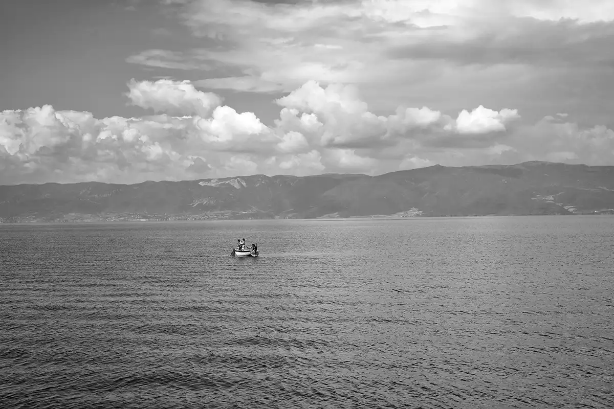 Gonçalo Cunha de Sá