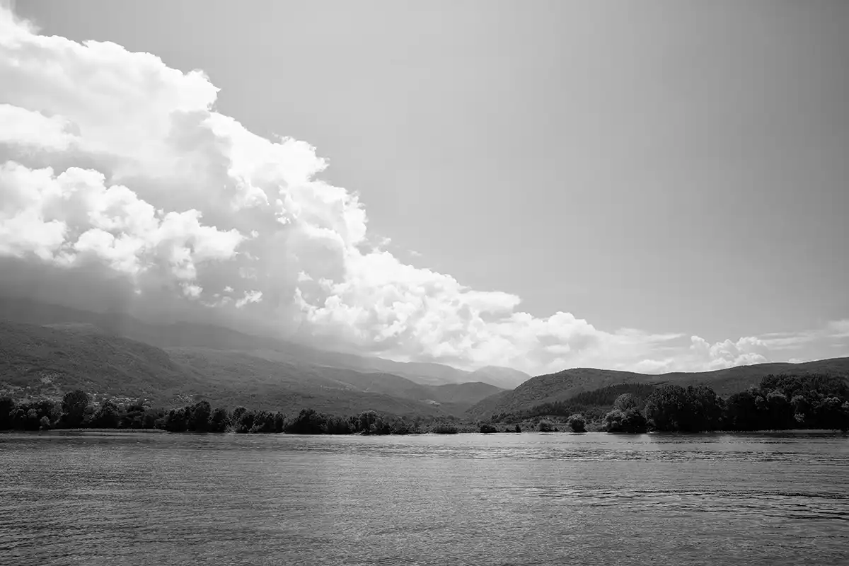 Gonçalo Cunha de Sá