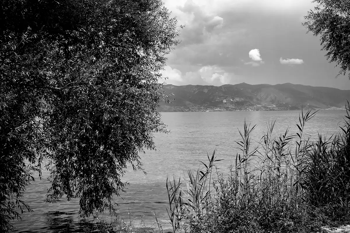 Gonçalo Cunha de Sá