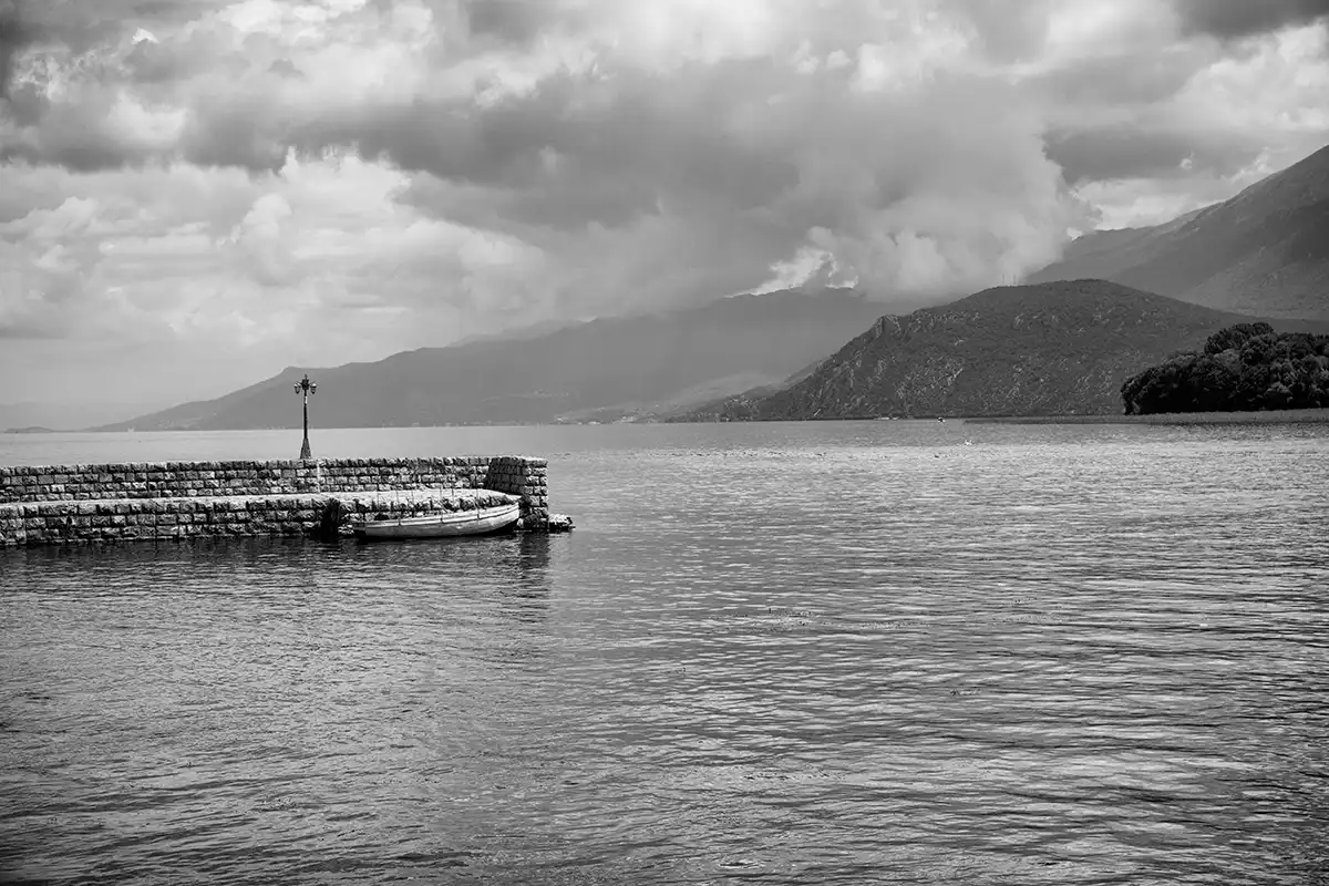 Gonçalo Cunha de Sá